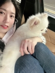 웅이빠