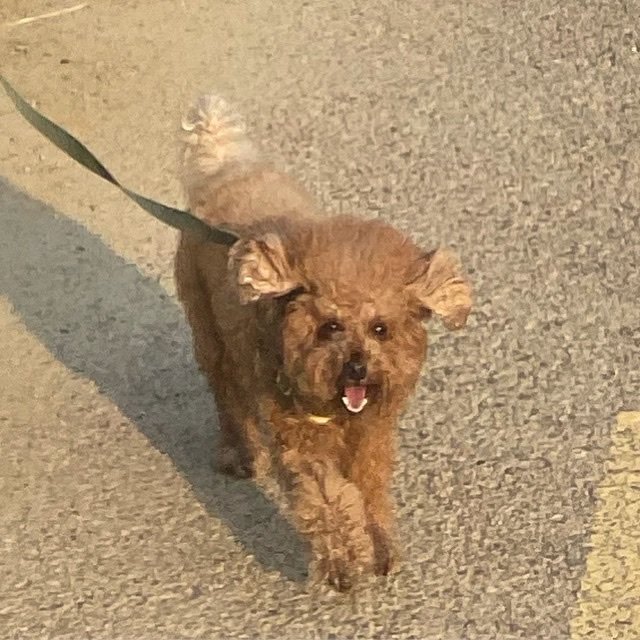 토토눈나 프로필