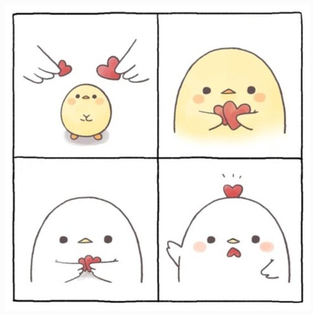 모찌몾찌 프로필