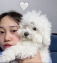 매래맹지