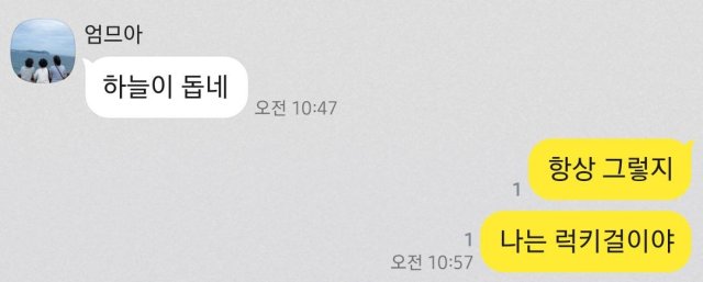 ㅇㅈㄱd 프로필
