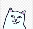 하이냐옹