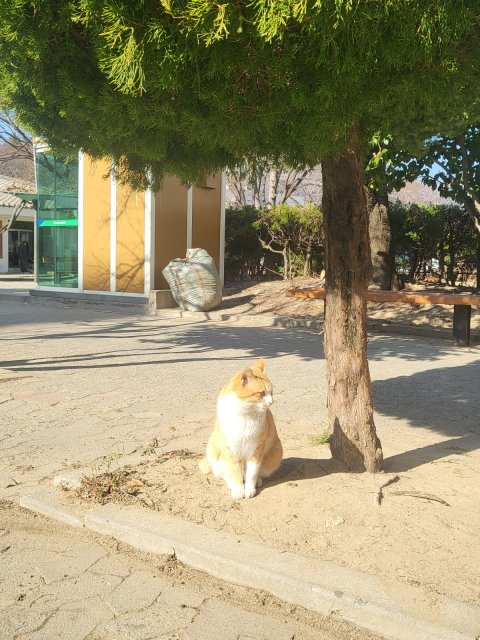 냠냐림 프로필