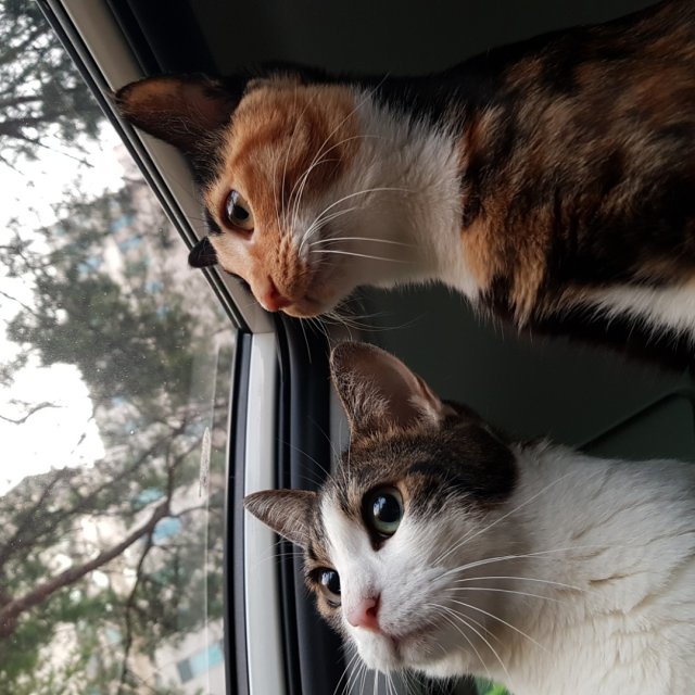 리뷰어 프로필