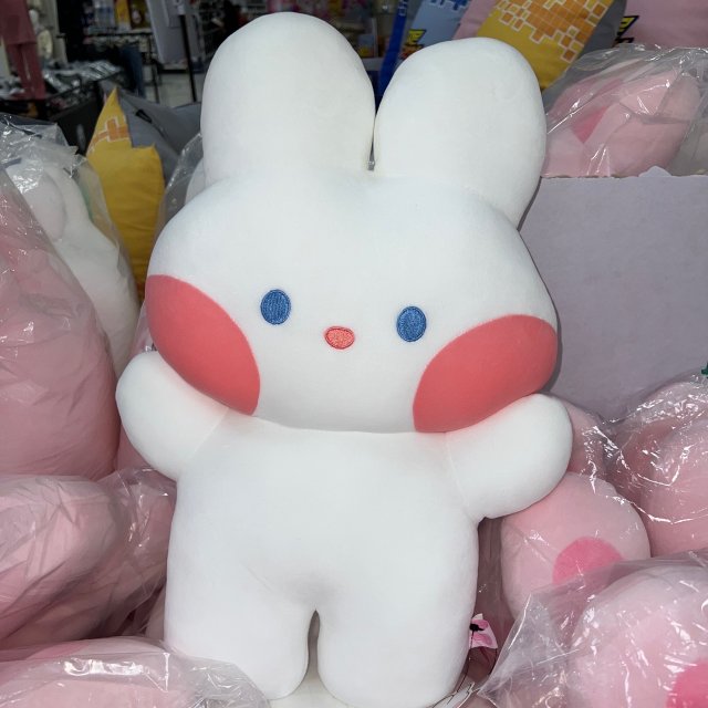 삐꾹 프로필