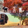 아일랜디 프로필