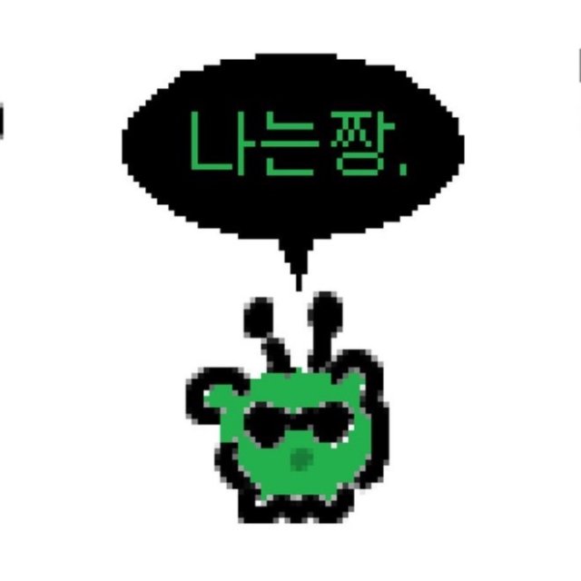 짱는 프로필