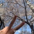 안녕해바라기