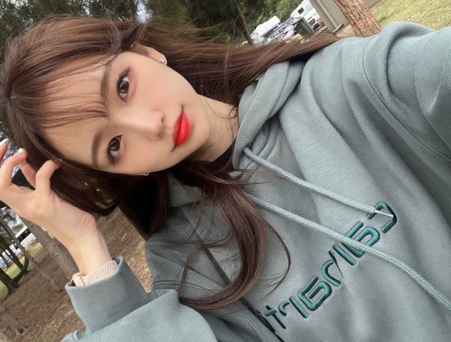 진와 프로필