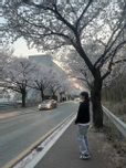 글로리당
