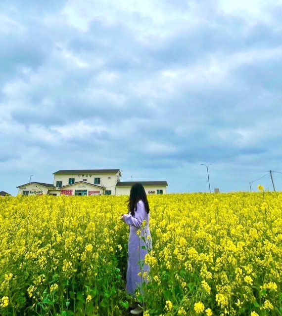 kimpurple 프로필