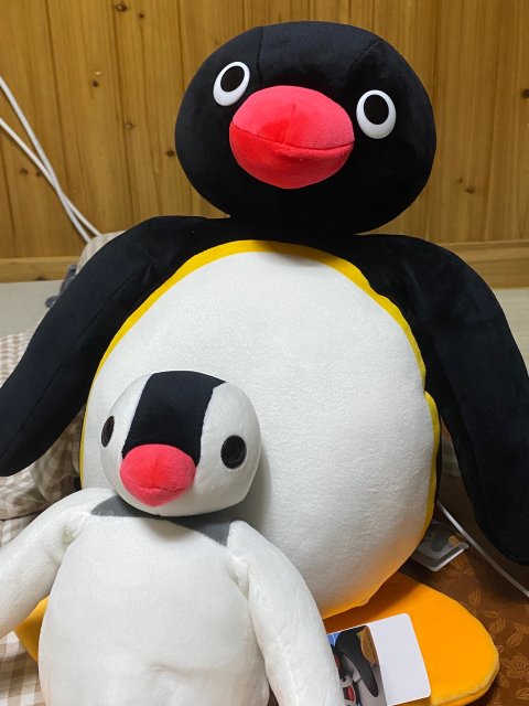펭윙 프로필