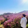 Ings 프로필