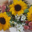 혠콩이 프로필