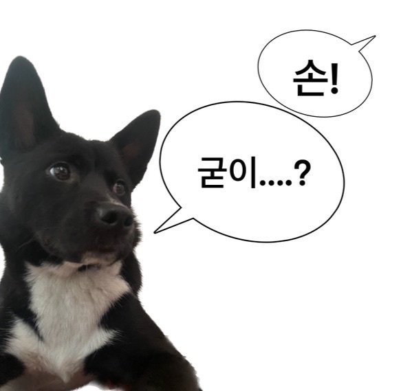 룰루랄라1234 프로필