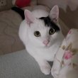 ssaeng9 프로필