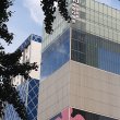 퍼플포도조아 프로필