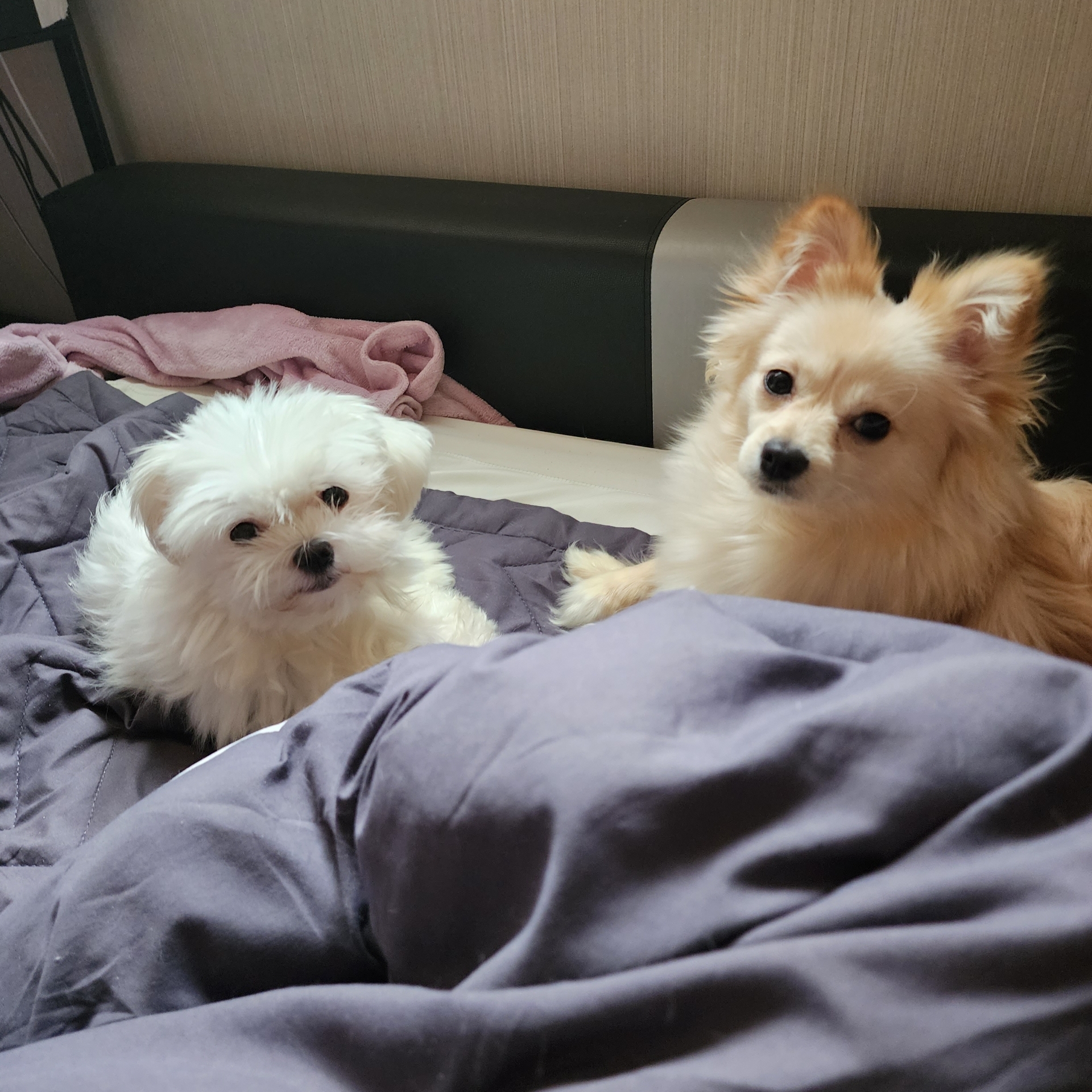 znzl5689 프로필