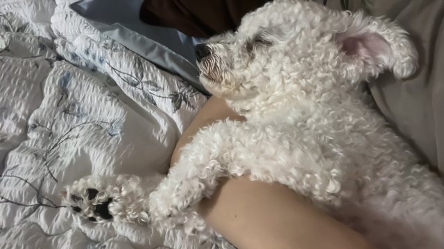 글로리#ctsbUB 프로필