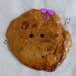 집이 프로필