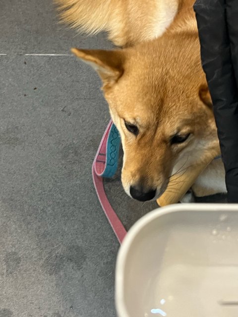 리뷰어 프로필