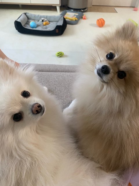 리뷰어 프로필