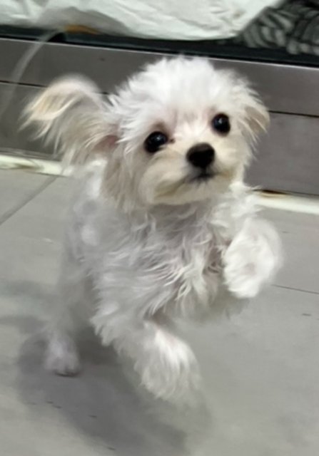 리뷰어 프로필