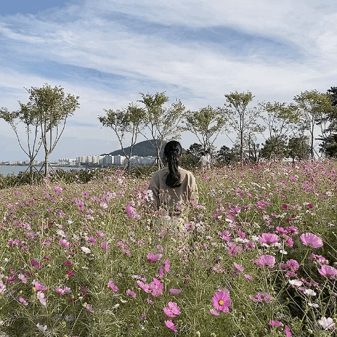 쟈르댕 프로필