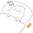 존예빈하투 프로필