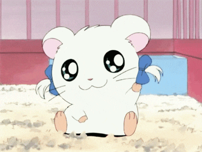 코뉴어앵무
