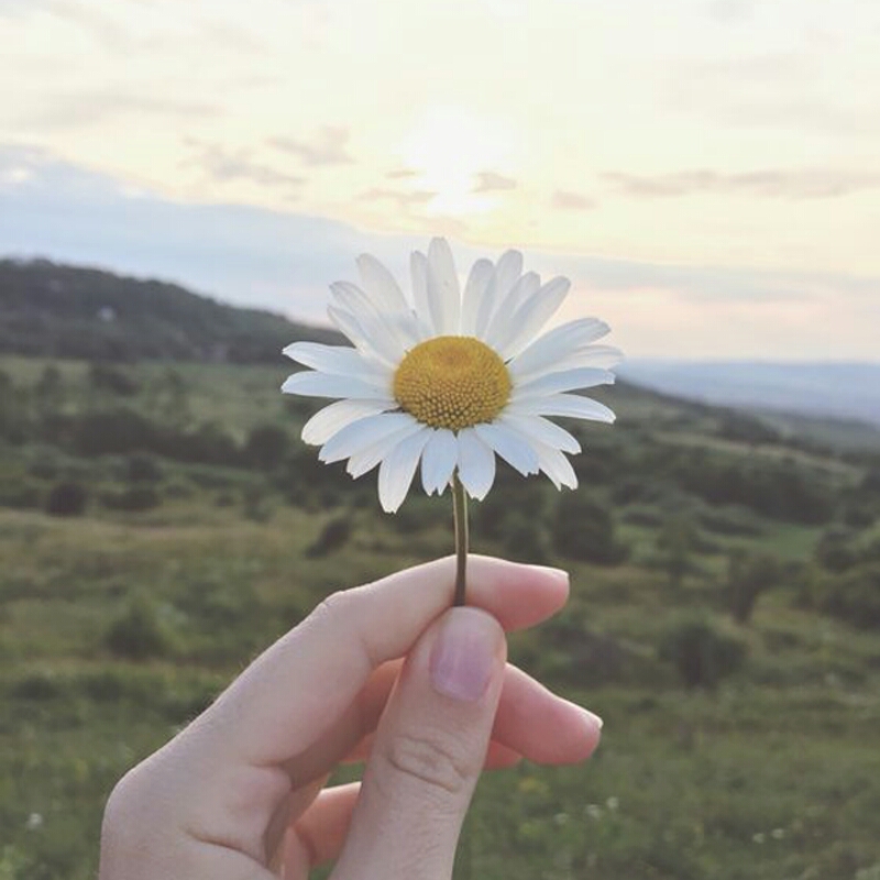 리뷰어 프로필