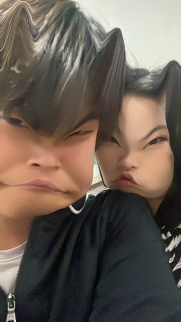 체명은 프로필