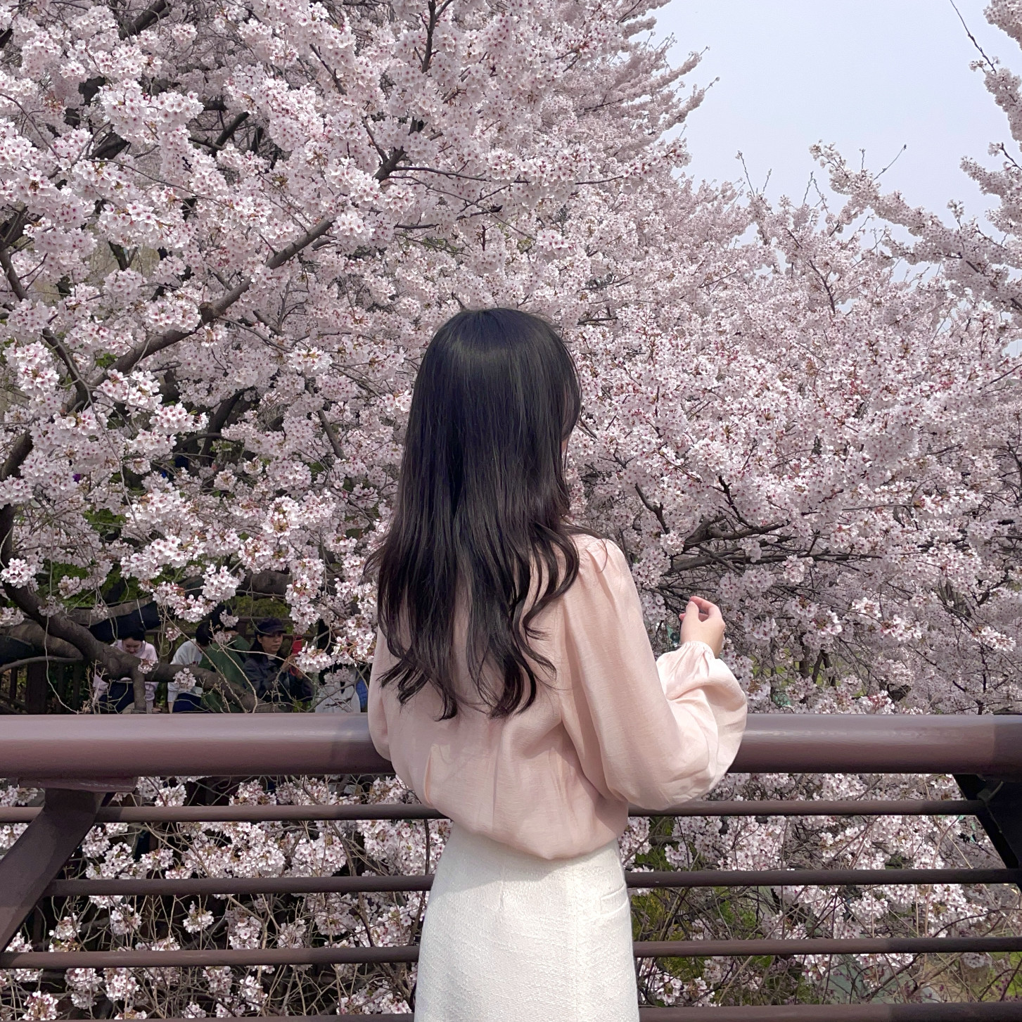 글로리#fp4r0z 프로필
