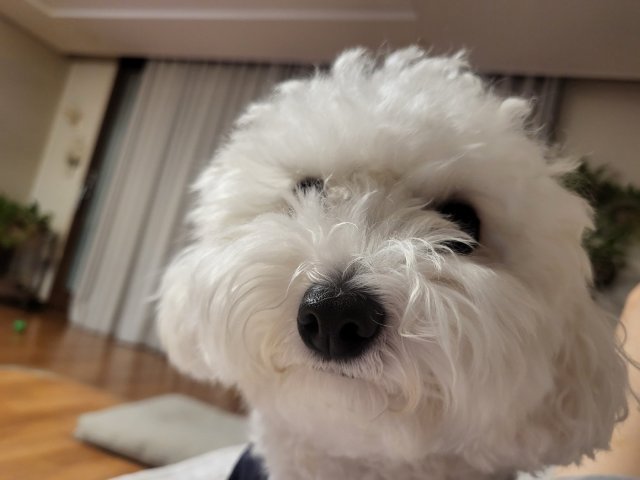 글로리#ftZjks 프로필