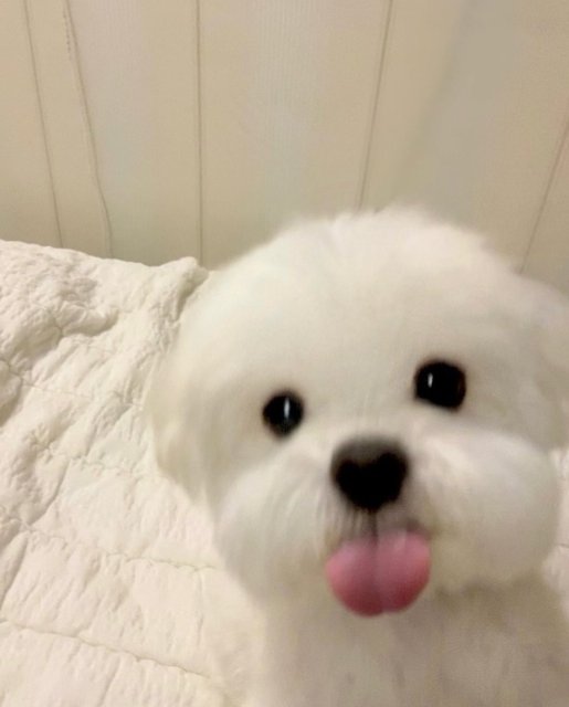 글로리#fHNVgn 프로필
