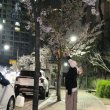 호랑인데요 프로필