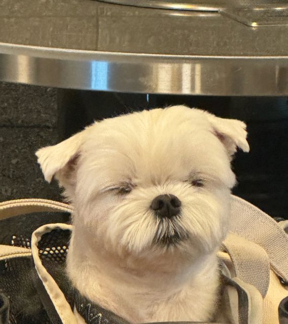 글로리#fYwVbs 프로필