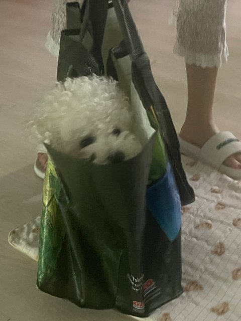 글로리#fZVezV 프로필