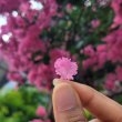글로리#g8dB3d