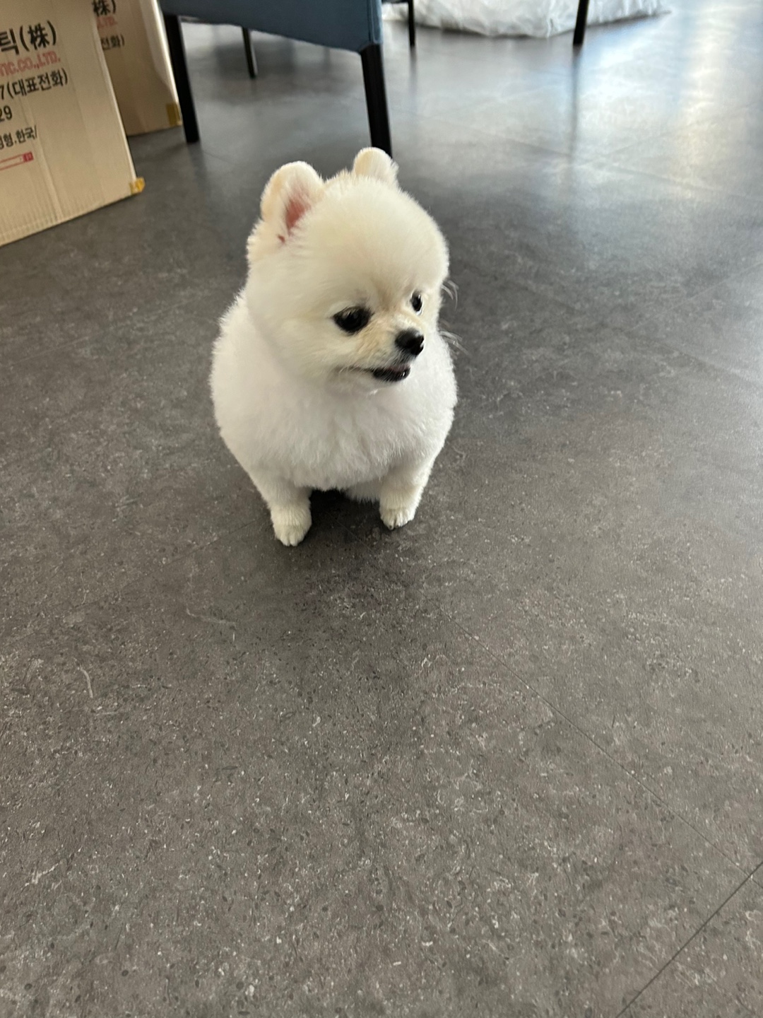 글로리#gh6Bkt 프로필