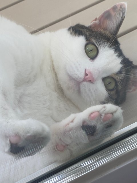 글로리#giWBN5 프로필