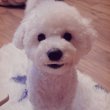 요늬띠 프로필