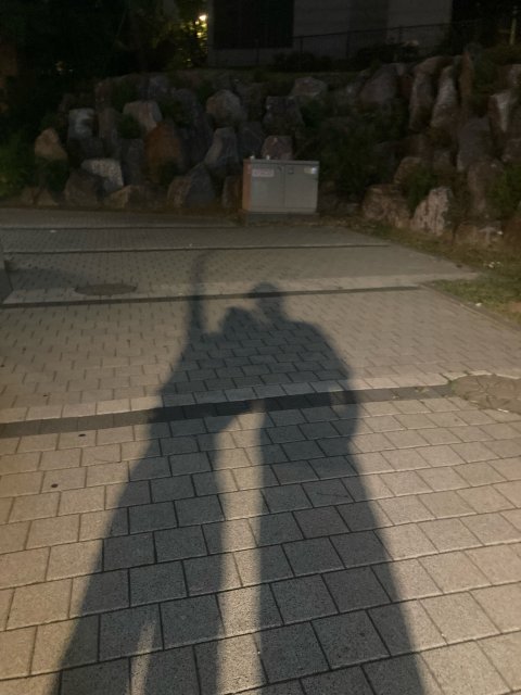 fldlqmfflf 프로필
