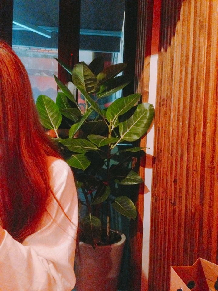 ccaggong 프로필