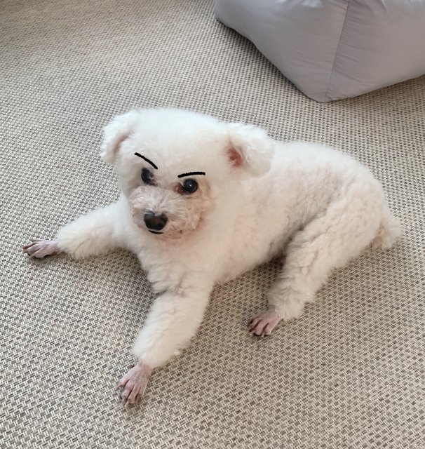 꼬봉누나 프로필