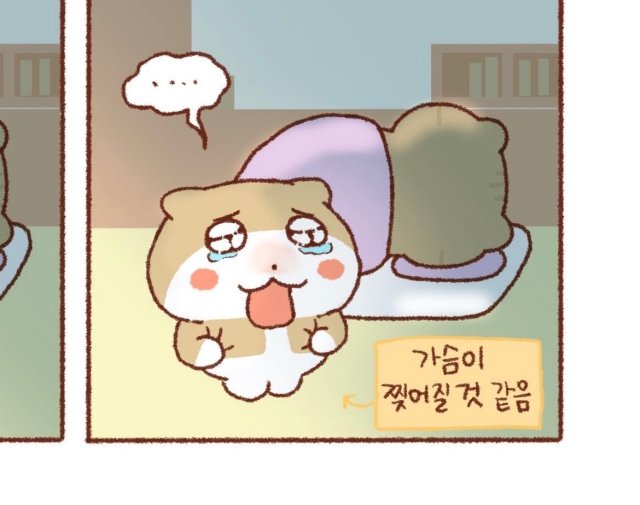 hsh 프로필