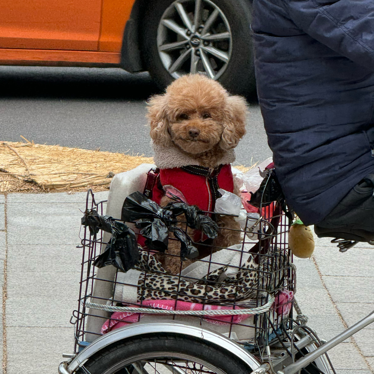 태현이0210 프로필