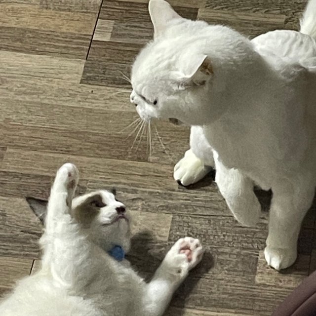 리뷰어 프로필