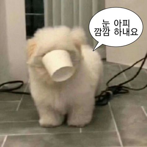 리뷰어 프로필
