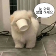 유당탕